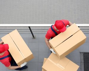 باربری دامپزشکی و حمل اثاثیه منزل