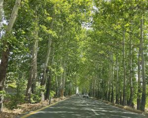 خدمات باربری در خوشنام کرج